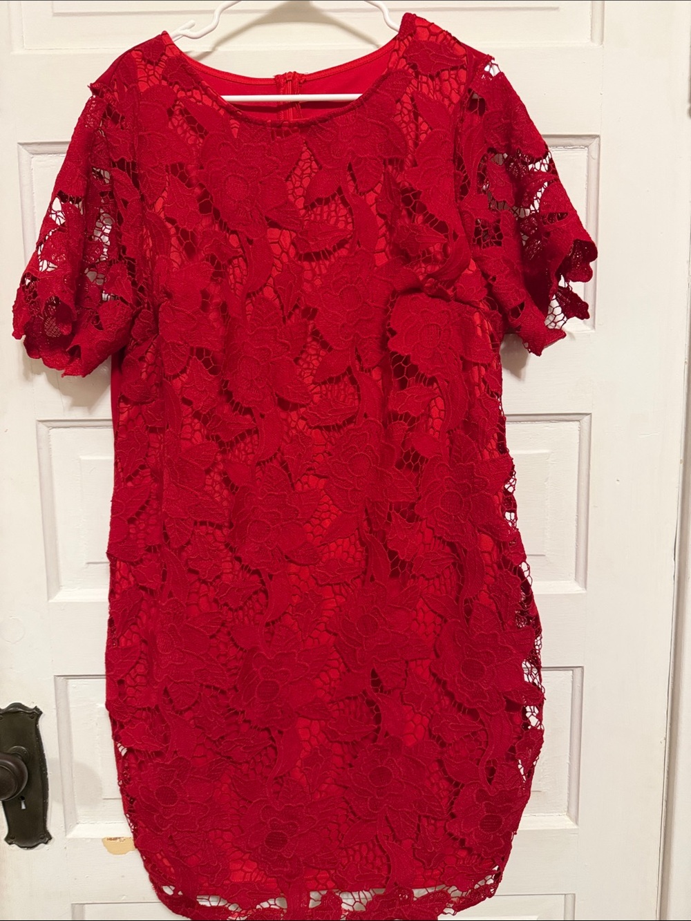 Red Lace Shift Dress - Women